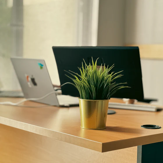 Bright, tidy workspace with a laptop and a plant